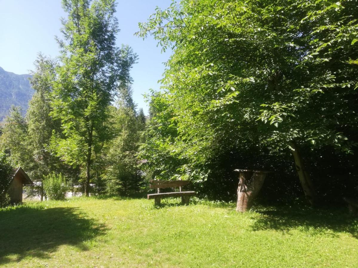 Gasthof Elisabeth Bad Aussee Esterno foto